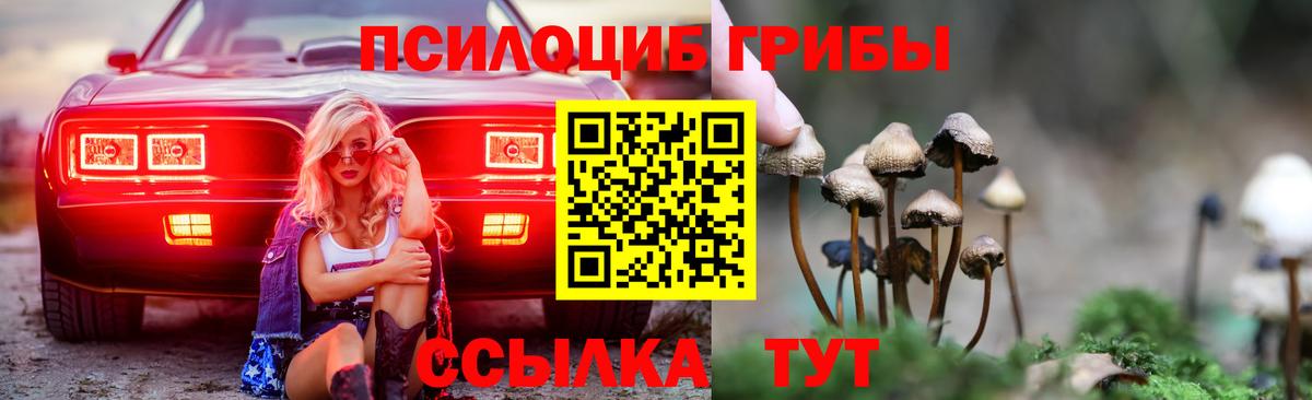 Алушта  Псилоцибиновые грибы Psilocybe  Вход с VPN 